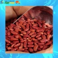 Fixyfood Kidney Beans