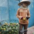 A woman sells green oranges at the local market